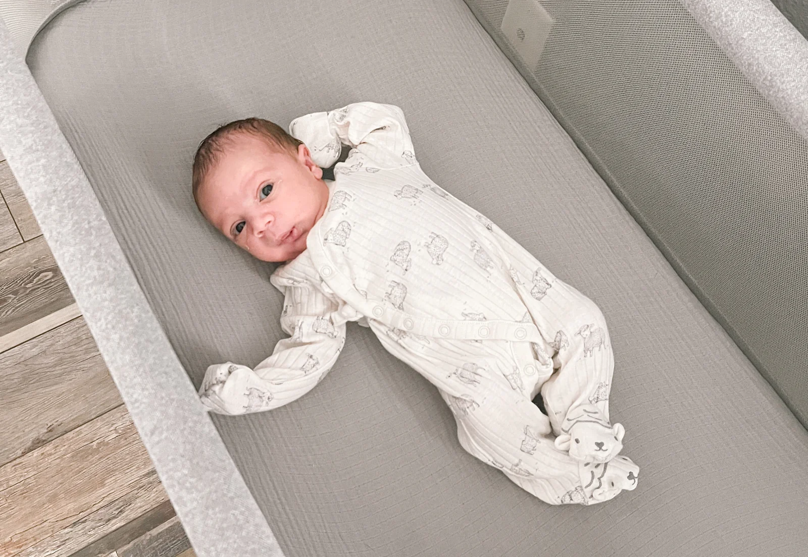 Bassinet Extra Sheets - Image 9