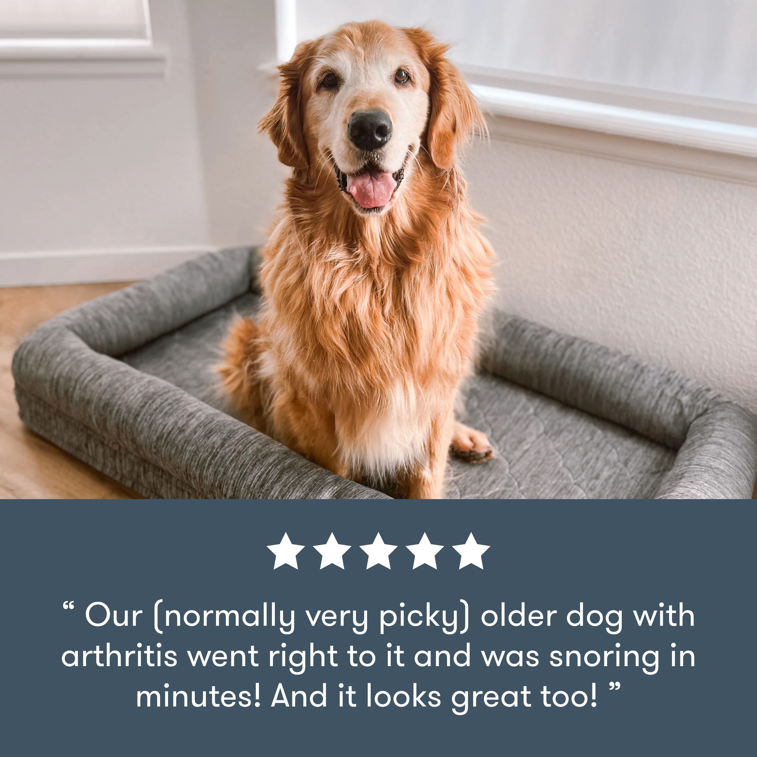 Washable & Orthopedic Pet Bed - Image 10