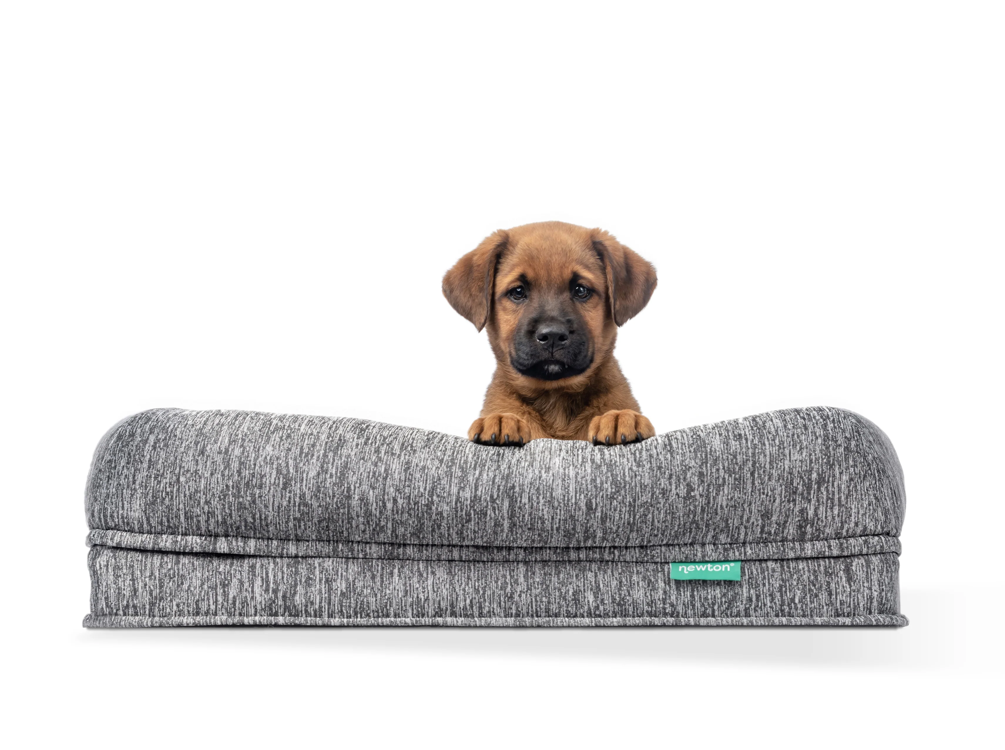 Washable & Orthopedic Pet Bed - Image 11