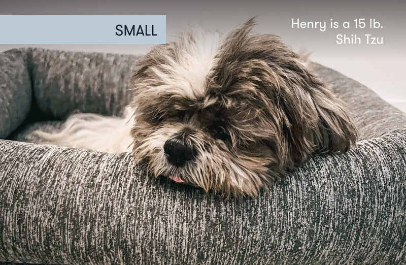 Washable & Orthopedic Pet Bed - Image 16