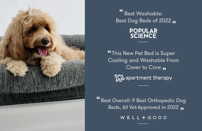 Washable & Orthopedic Pet Bed - Image 25