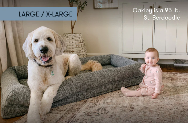 Washable & Orthopedic Pet Bed - Image 31