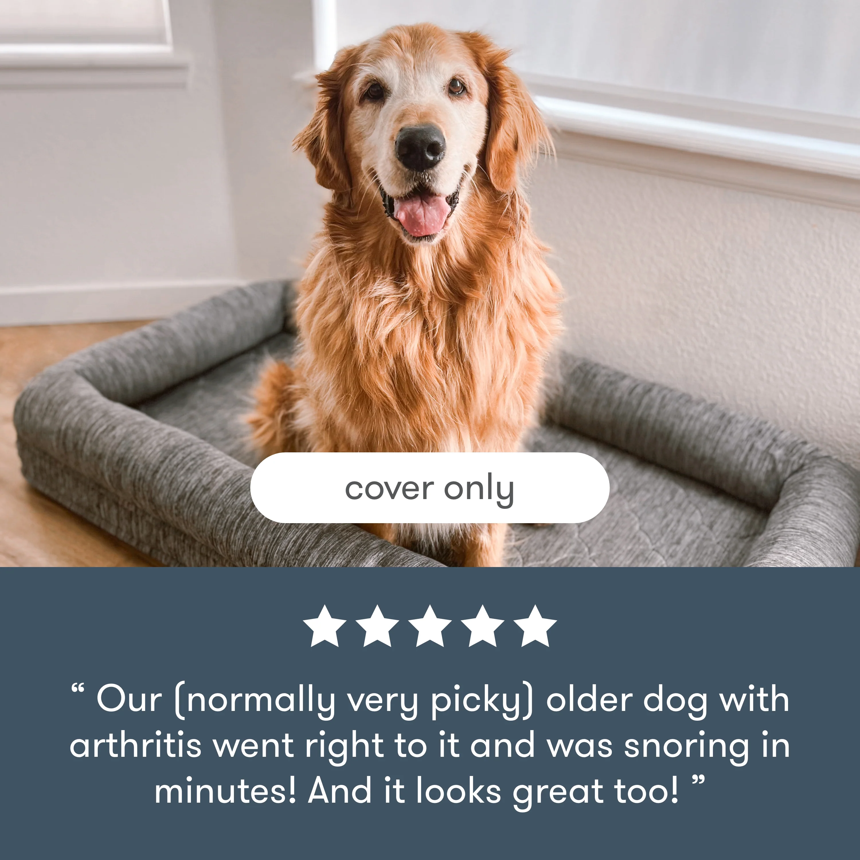 Pet Bed Extra Covers - Image 10