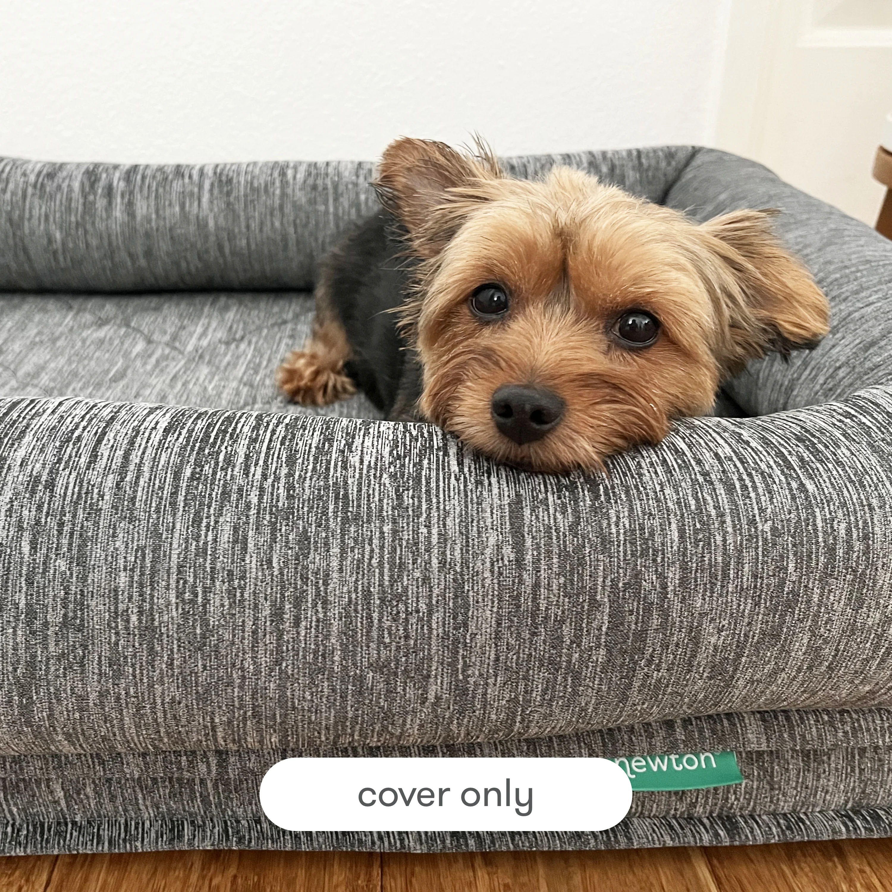 Pet Bed Extra Covers - Image 7