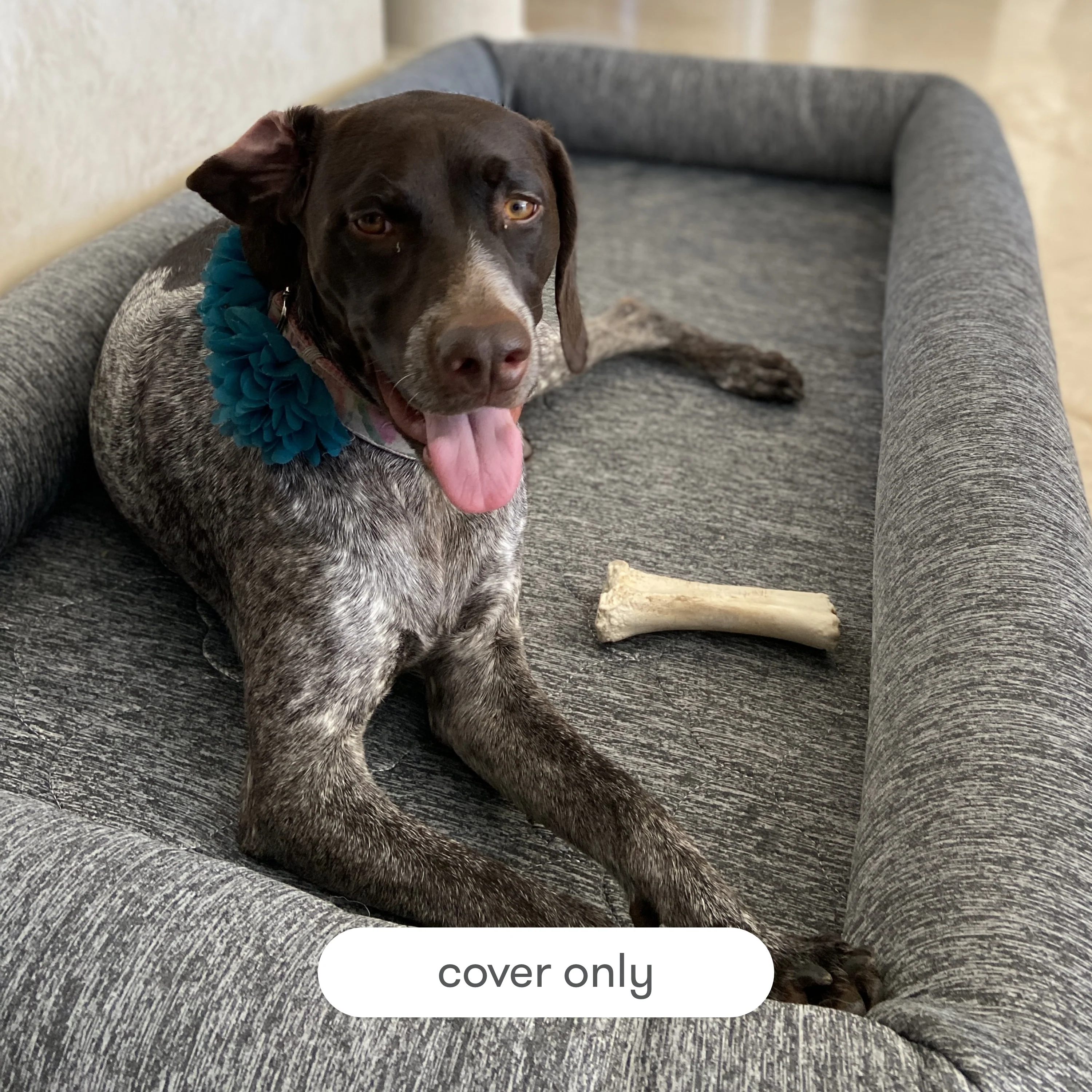 Pet Bed Extra Covers - Image 8